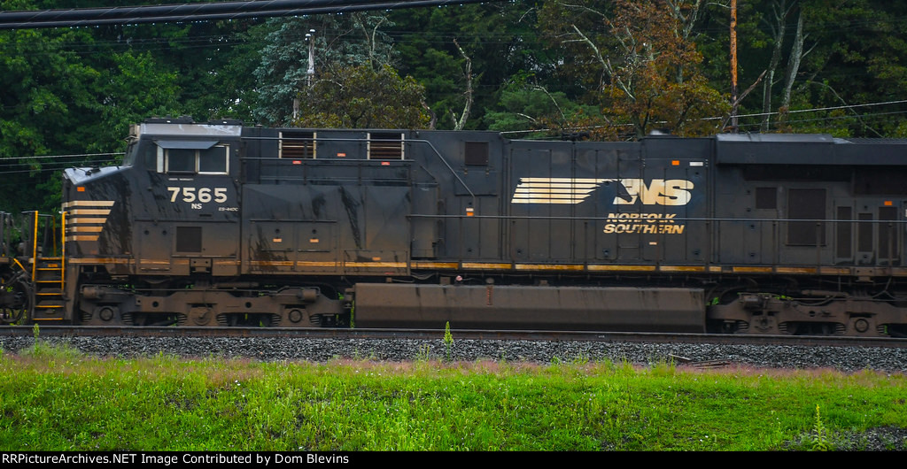 NS 7565